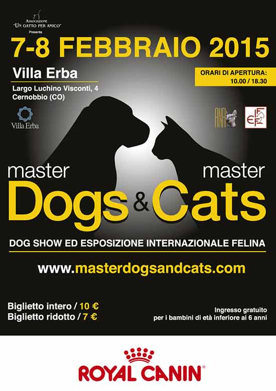 Master-dogs-Master-Cats