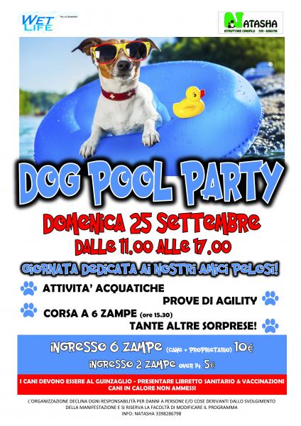 dog_pool_party